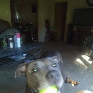 Meet your Posher, Brad